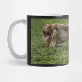 Dog running Mug